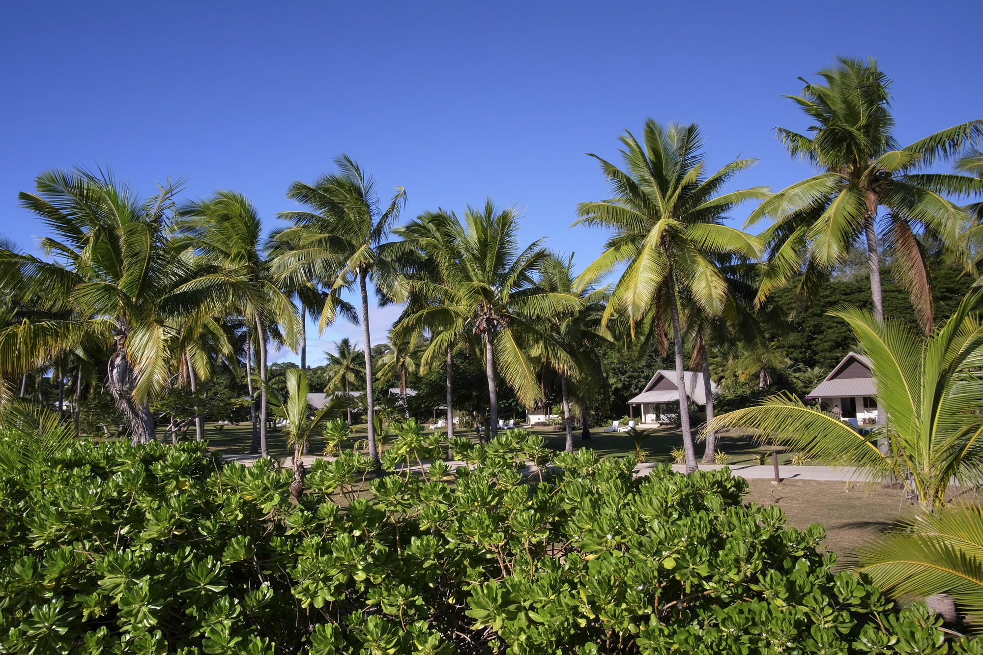 Musket Cove Island Resort Malolo Lailai Exterior photo